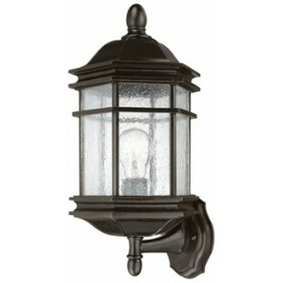 9236-68 Dolan Lighting Barlow 1-Light Outdoor Wall Sconce