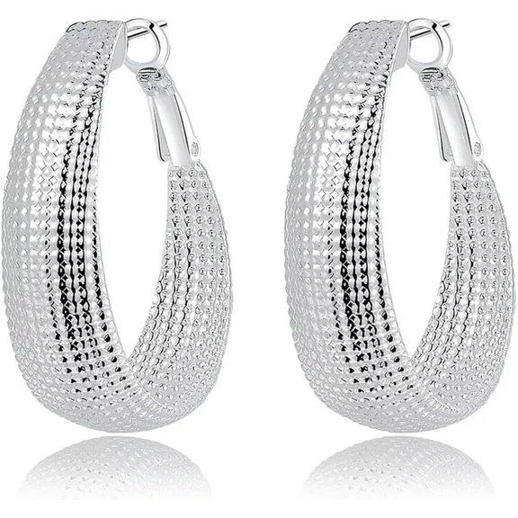 925 Silver Ear Professional Grade Stick Frosted Hoop Earrings Trendy Women Jewelry[o253]