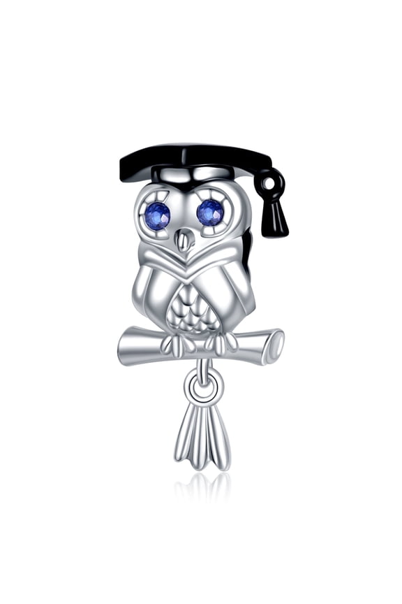 925 Sterling Silver Charm Women Bracelets Necklace Dr.Owl Bachelor Cap Graduation Gifts Charm Women Bracelet Charm