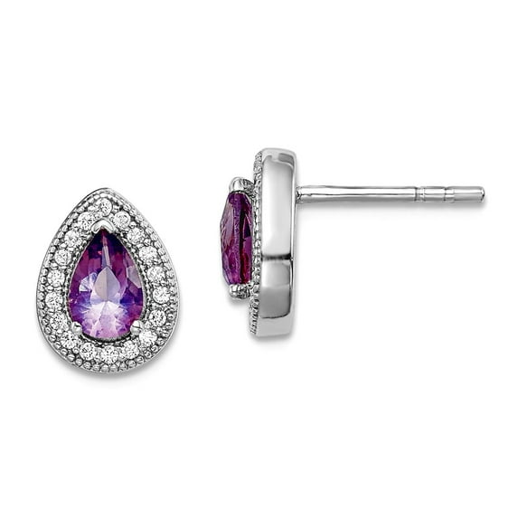 925 Sterling Silver Rhodium Plated Purple and Clear Cubic Zirconia Post Earrings 10.25x7.8mm Stud Earring for Women