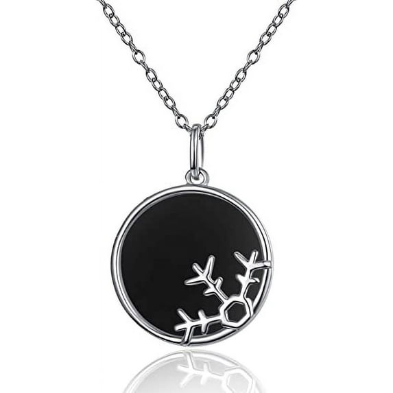925 Sterling Silver Snowflake Necklace Winter Snow Round Necklace for Women Jewelry Gifts for Her