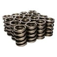 thumbnail image 1 of 92816 16 Dual Valve Spring, 1 of 1