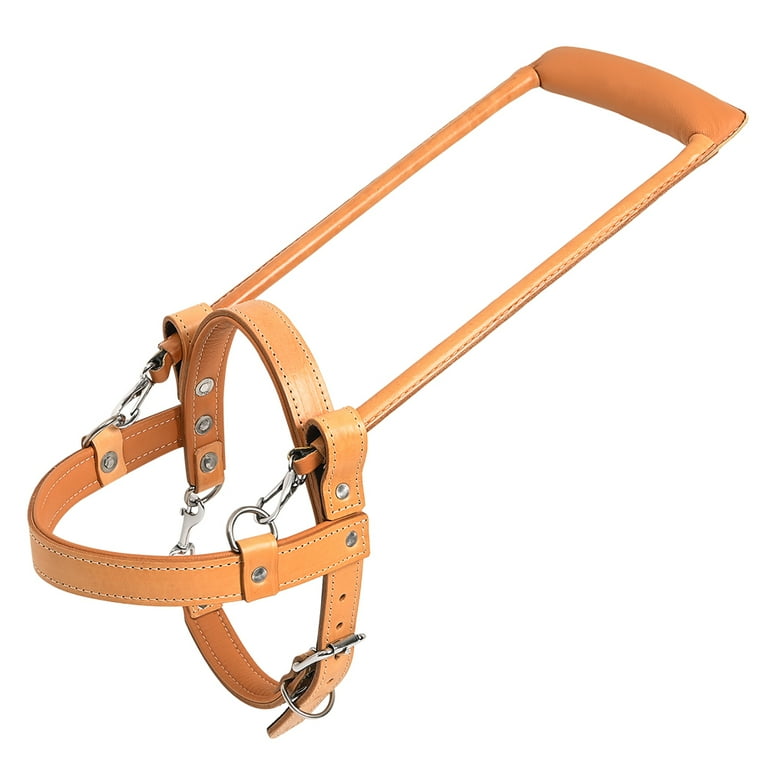 Leather dog harness with cheap handle