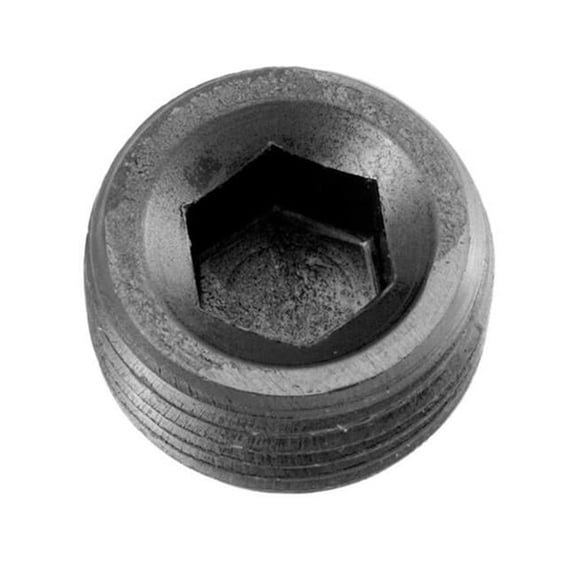 932062 0.35 in. NPT Plug, Black
