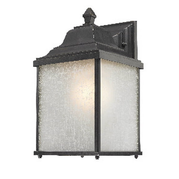 935-68-Dolan Lighting-Charleston 1-Light Outdoor Wall Lantern-Winchester Finish
