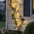 thumbnail image 1 of 96 LED Ivy Branch Solar Light, 1 of 11