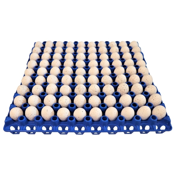 96 RITE FARM PRODUCTS 90 EGG PLASTIC TRAYS QUAIL PIGEON DOVE BIRD FLAT CARTON