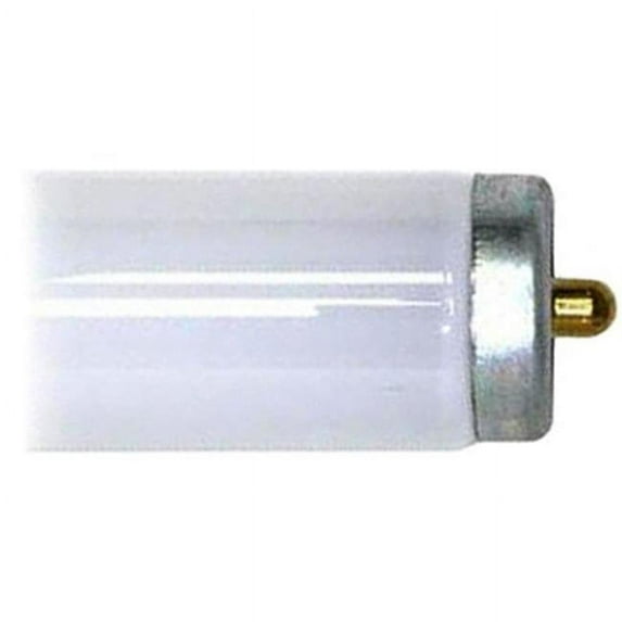96T12 CW & EW 60 watt Lamp, Cool White - Pack of 15