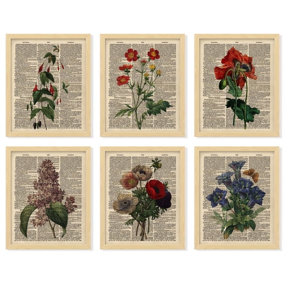 97 Decor Vintage 8x10 Floral Dictionary Poster Set, 6 Pieces