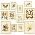 thumbnail image 1 of 97 Decor Vintage 8x10 Botanical Plant Poster Set, 12 Pieces, 1 of 7