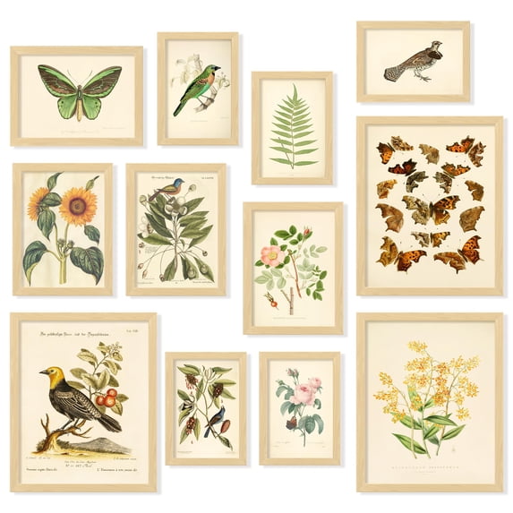 97 Decor Vintage 8x10 Botanical Plant Poster Set, 12 Pieces