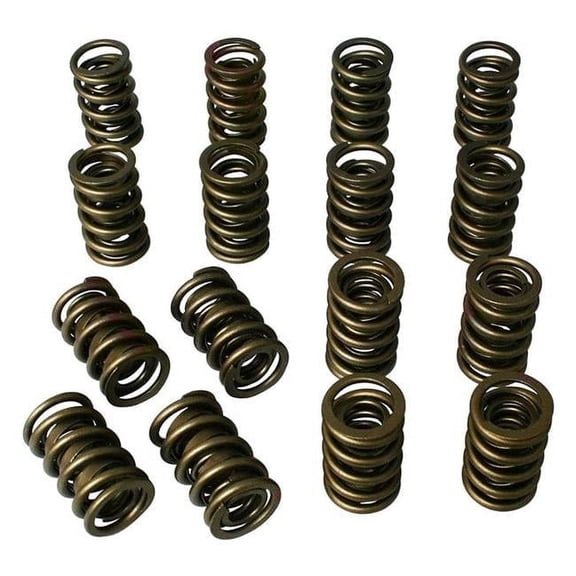 98432 1.43 in. Dual Valve Springs