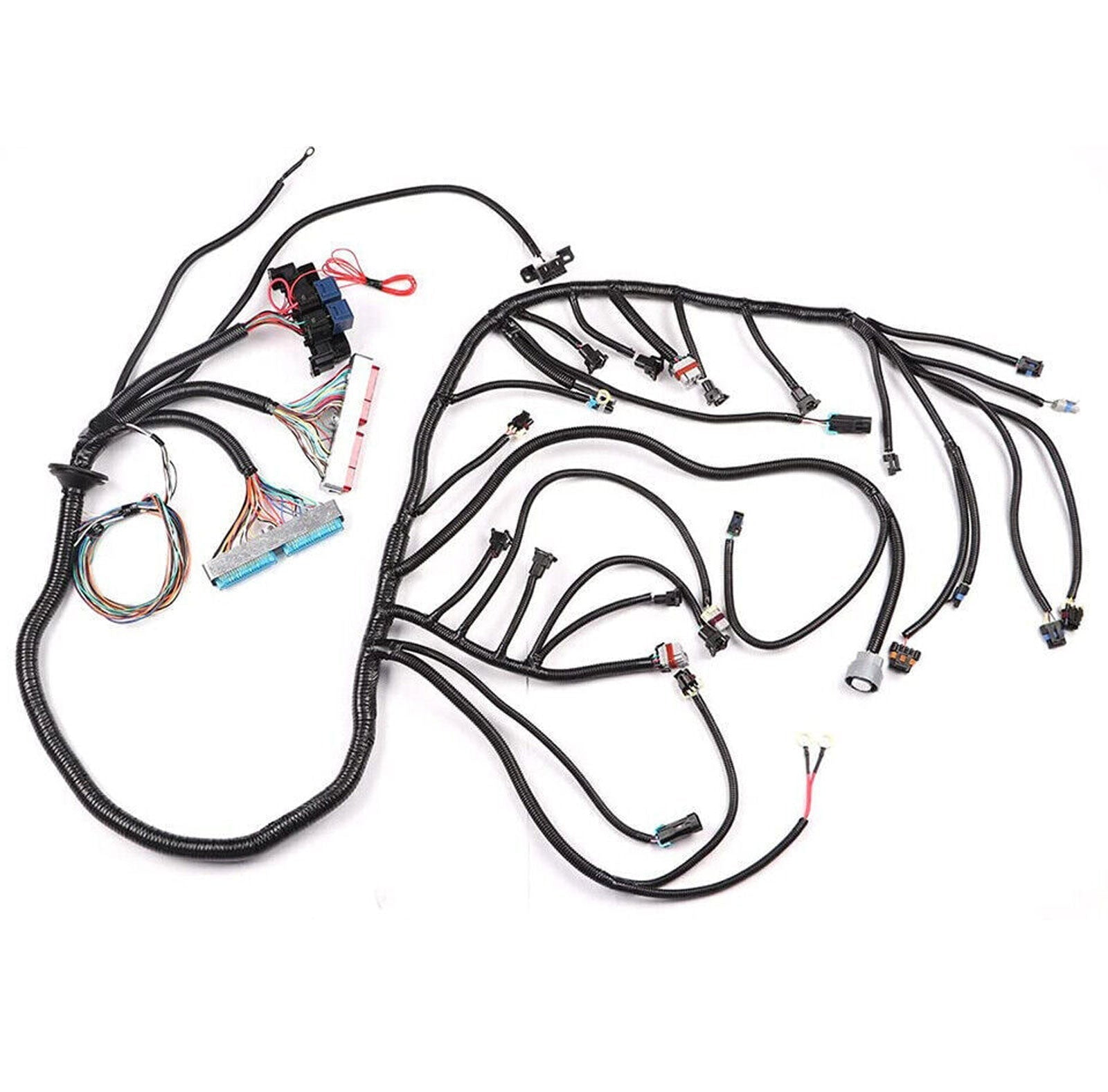 Ls Stand Alone Harness And Ecm