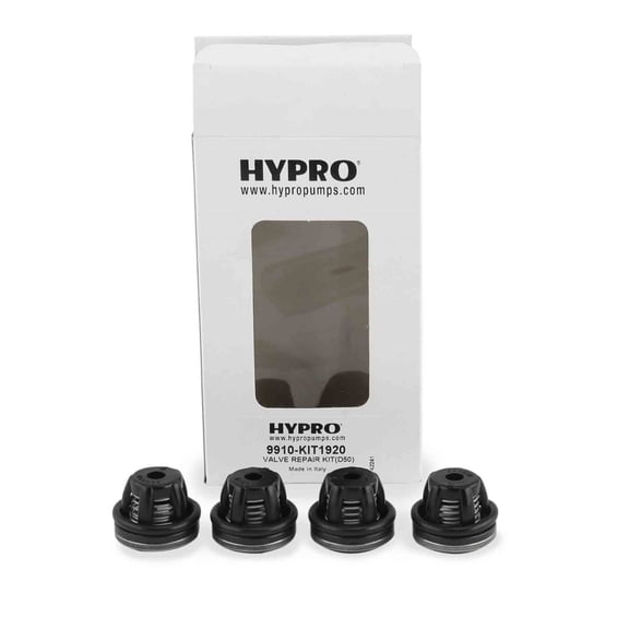 9910-KIT1920 Hypro Valve Repair Kit (42241) For D-50