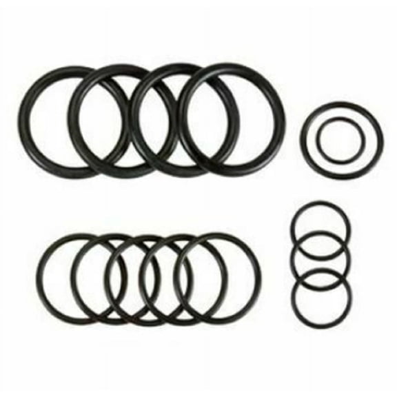 9910-KIT2365 Hypro O-Ring Repair Kit for D70 Pump