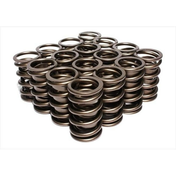 99516 Dual Valve Springs