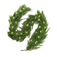 thumbnail image 1 of 9FT Pre-lit Christmas Garland, Real Touch Lighted Norfolk Pine Garlands Battery Operated for Christmas Decorations with LED RGB/WW String Lights, 1 Pack, 1 of 1