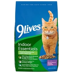 Dry Cat Food