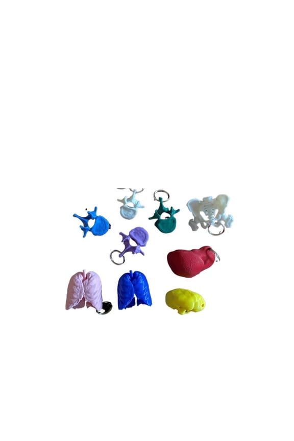 9PC human organ keychain set 3D printing