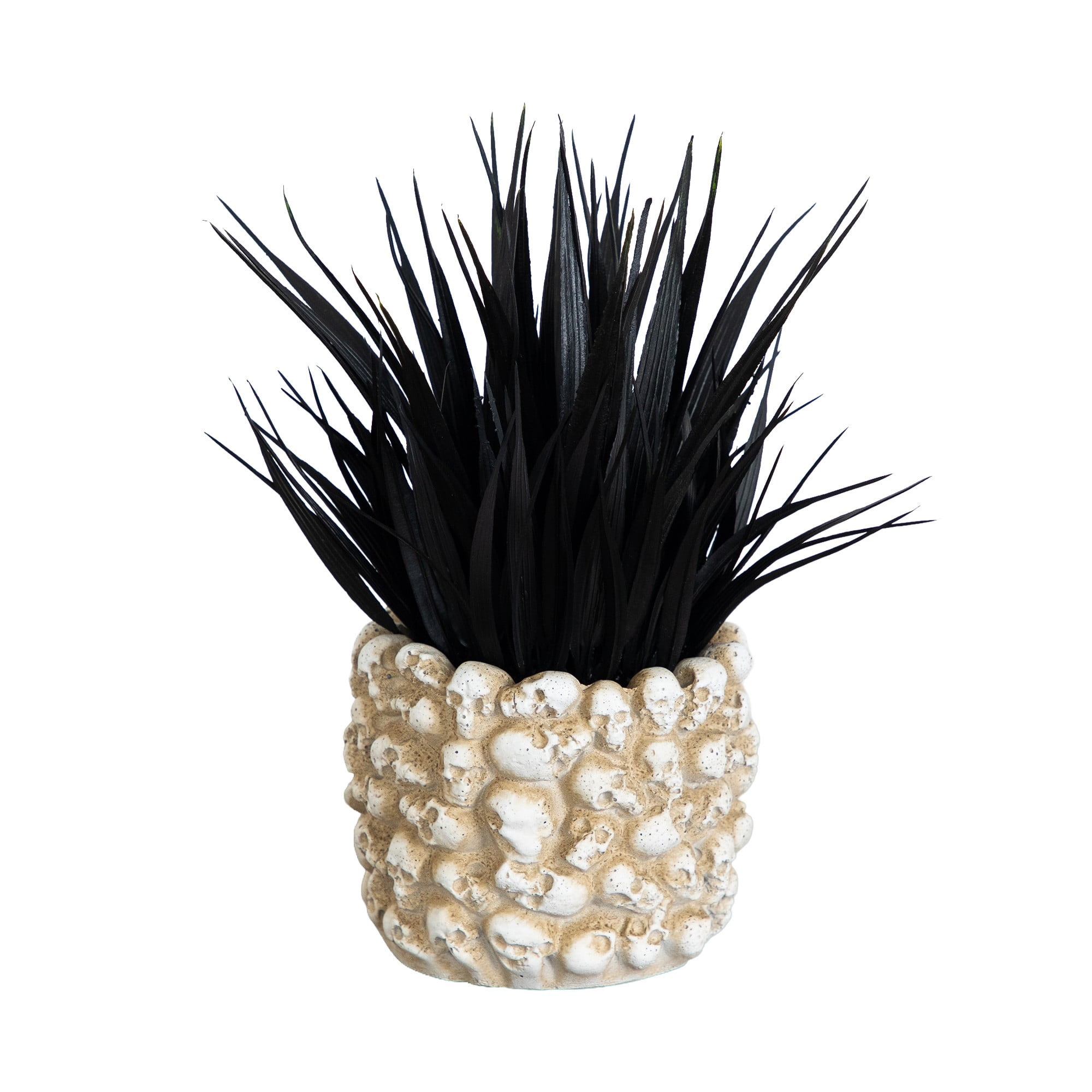 9in. Artificial Halloween Black Succulent Plant in Gothic Skull Planter