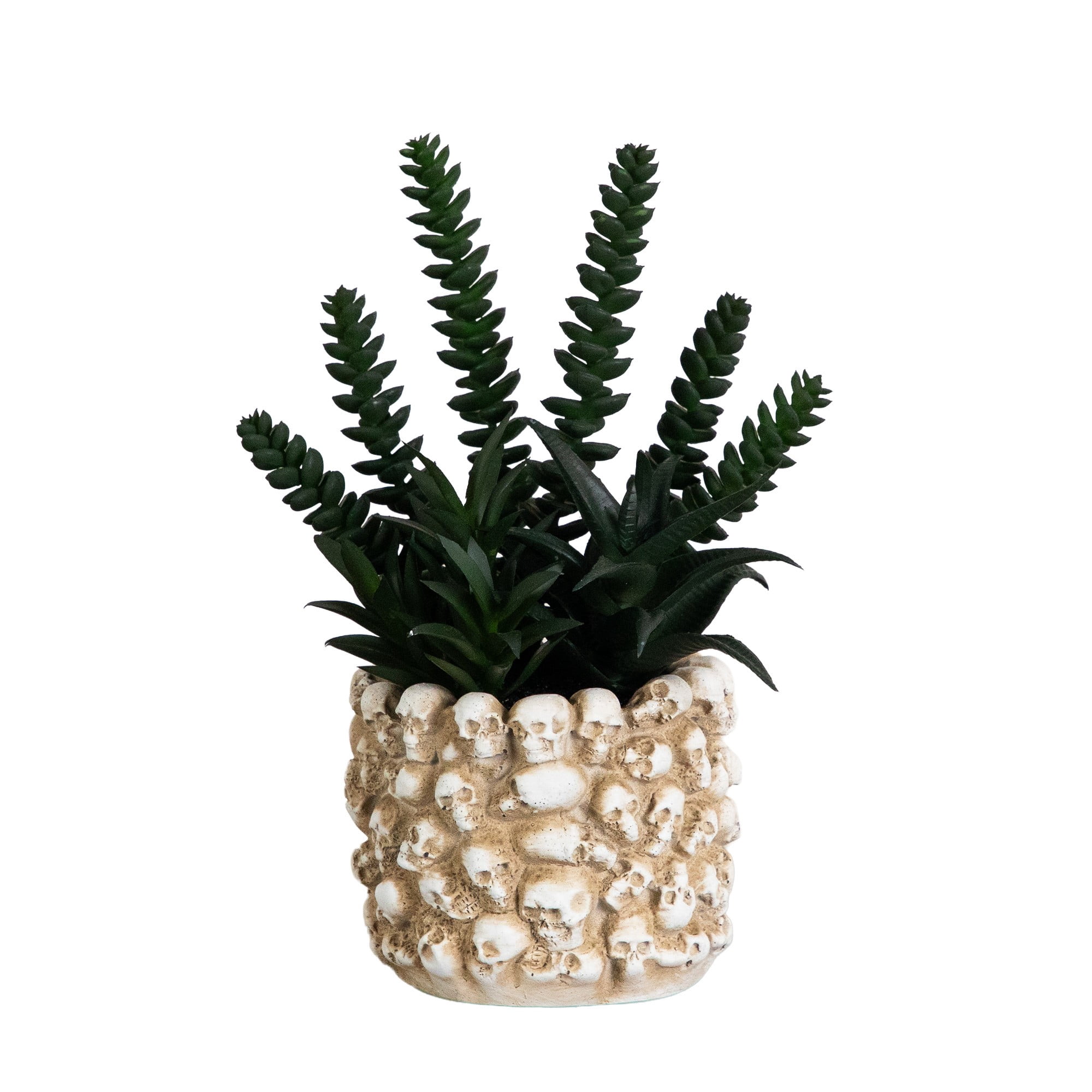 9in. Artificial Halloween Succulent Garden in Gothic Skull Planter