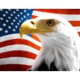 thumbnail image 1 of 9in x 7in US Flag With Eagle Vinyl Sticker American America Decal, 1 of 1