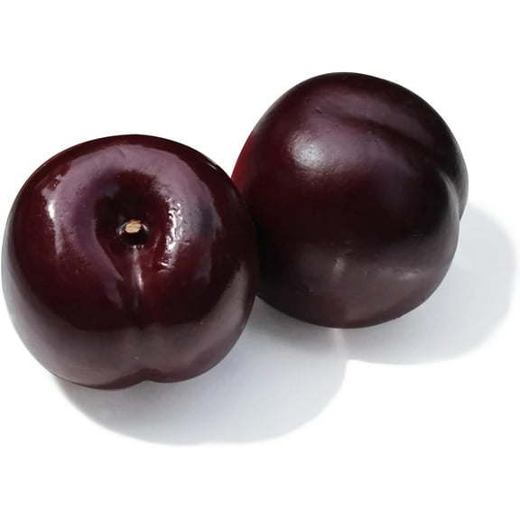 9pcs Artificial Lifelike Simulation Black Plum Fake Fruits Photography Props Model