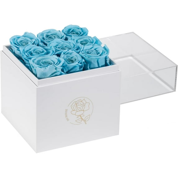 9pcs Preservd Rose in Acrylic Box Eternal Flower That Lasts 4 Years Gifts for Girlfriend Wife Mom Women Valentines Day Anniversary Birthday Mothers Day(Sky Blue)