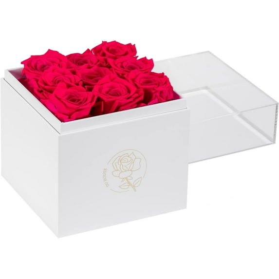 9pcs Preservd Rose in Acrylic Box Eternal Flower That Lasts 4 Years Gifts for Girlfriend Wife Mom Women Valentines Day Anniversary Birthday Mothers Day(Sky Blue)