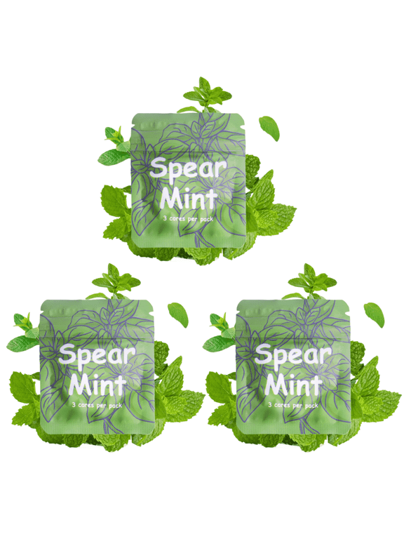 9pcs Spearmint Refillable Cores for Breathing Necklace to Replace Bad Habit, Habit Support Necklace for Stress Relief, Refreshing Inhaler Sensory Fidget Necklace for Adults
