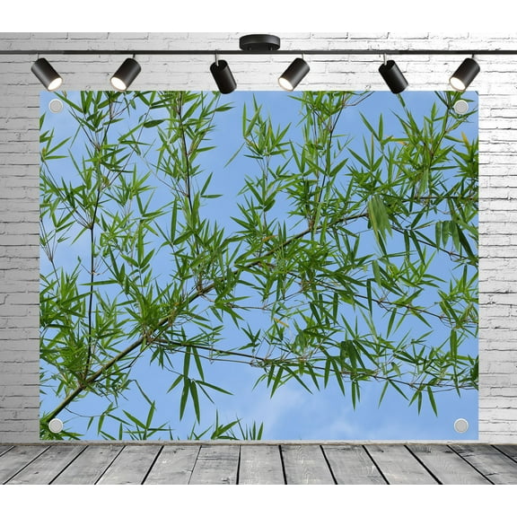 9x6ft Fresh Bamboo Forest Blue Sky Backdrop Photoshoot Photo Backdrop Nature Scenery Background for Theme Party Wedding Birthday Baby Shower Decoration Banner Photo Booth Studio Props
