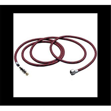 A-1-8-10Q 10 ft. Air Hose with Quick Disconnect