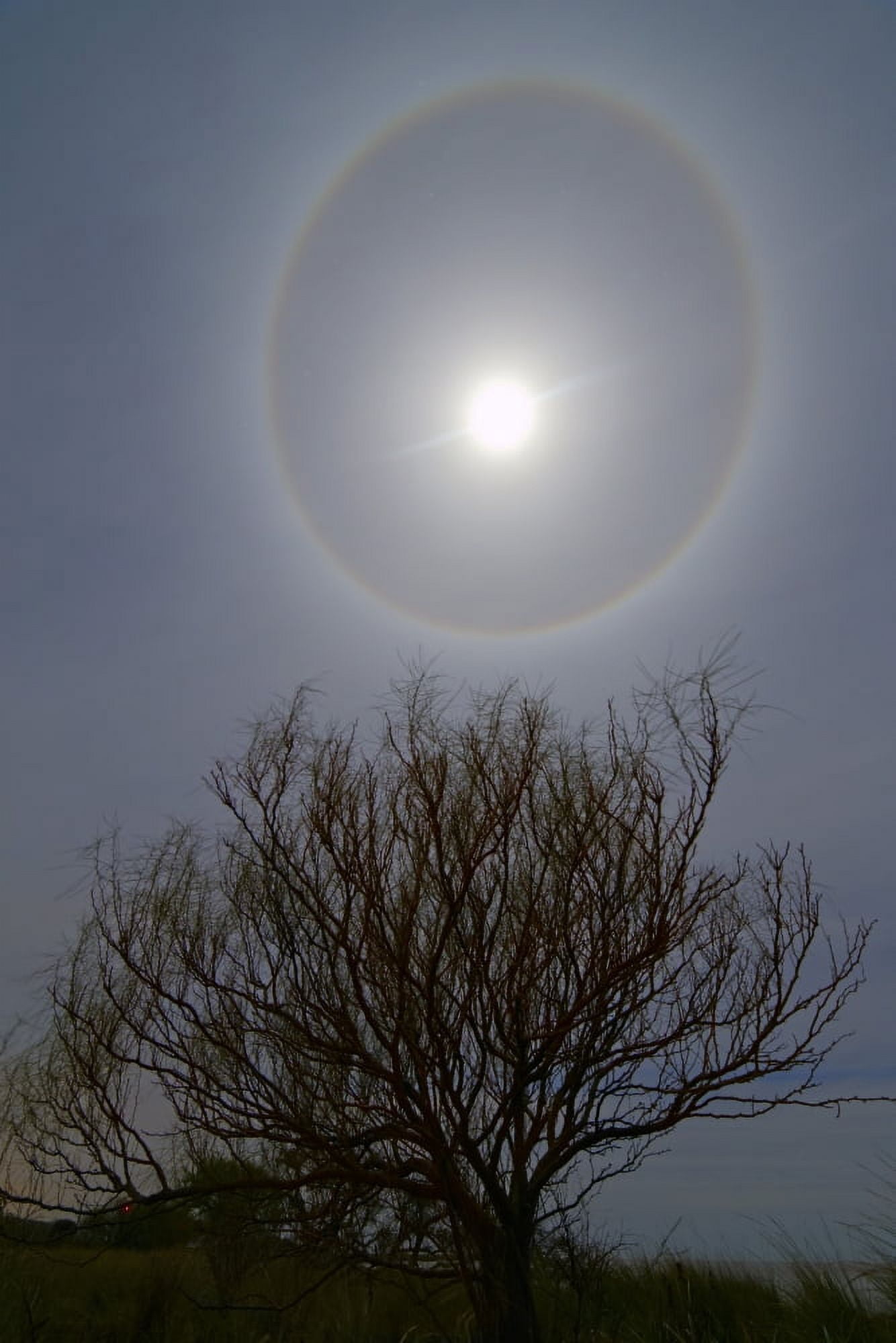 A 22 degrees halo around the 2013 supermoon Canvas Art - Luis ArgerichStocktrek Images (12 x 18)