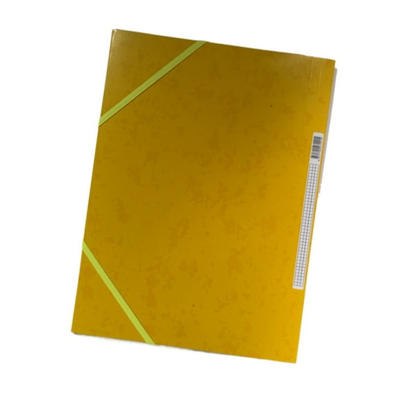 A4 File Folders Document Folders File Organiser with Elastic Closure for School