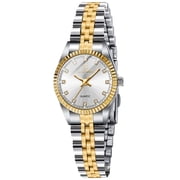 Watches for Woman Classic Quartz Wrist Watch with Stainless Steel Watchband Waterproof Lady Wristwatch Mothers Day Gifts