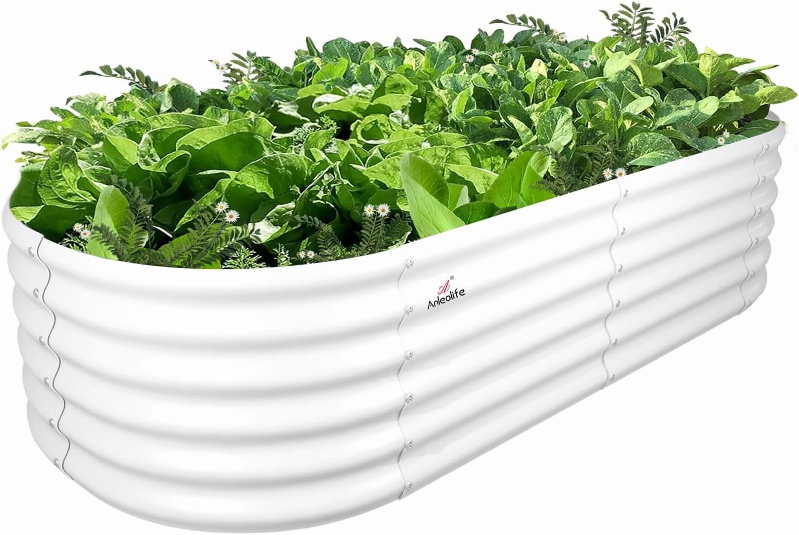 A ANLEOLIFE 6X2X1.5 ft Galvanized Raised Garden Beds Outdoor, Oval Round Metal Planter Box for Planting Vegetables Flowers Herb