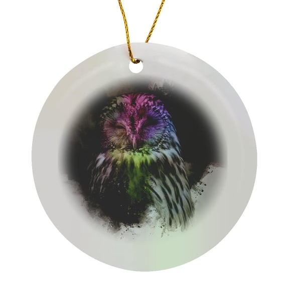 3drose, a Abstract Colorful Owl in a Black White Background., Circle Porcelain Ornament