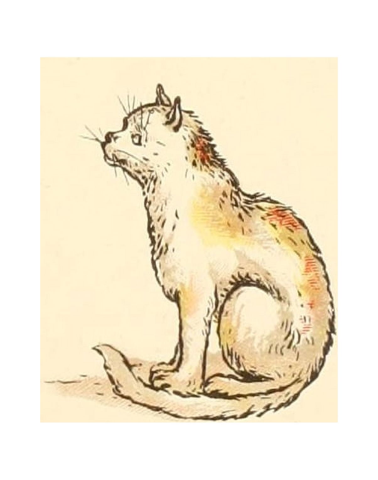 A Apple Pie 1886 Cat Canvas Art - Kate Greenaway (18 x 24)