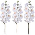 thumbnail image 1 of A&B Home 38-inch Real Touch Orchid Stem Cream, 1 of 3