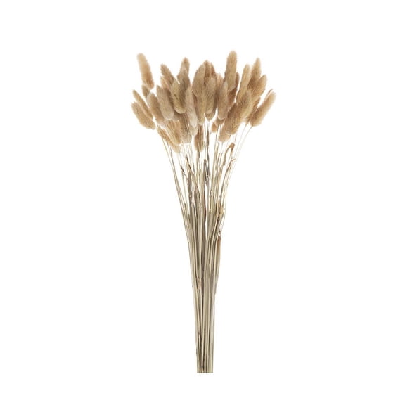 A&B Home Dried Natural Bunny Tail Bundle 7.9" x 7.9" x 17.7"