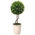 thumbnail image 1 of A&B Home Faux Boxwood Topiary - Single Sphere-Color:Green,Style:Botanical, 1 of 4