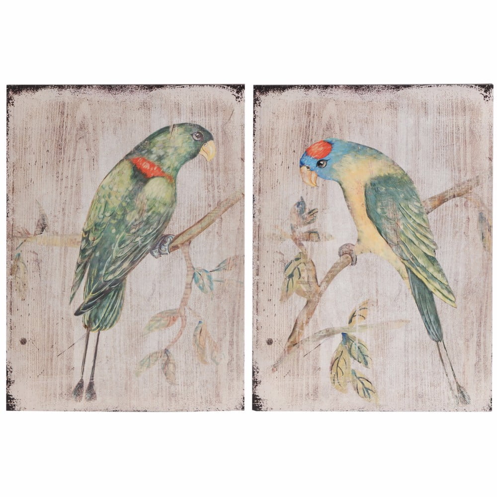Tropical Multicolor Parrot Wall Art Set on Whitewashed Wood