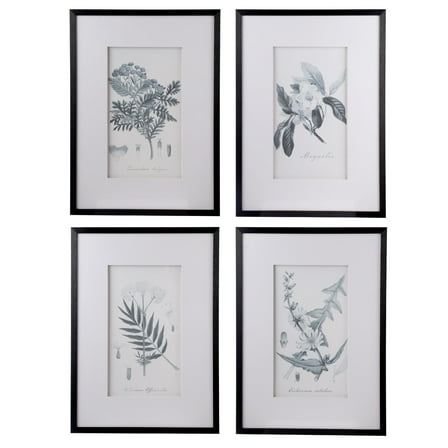A&B Home Set of 4 20x28 inch Botanical Black And White Faux Pencil Art