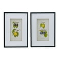 thumbnail image 1 of A&B Home Smithsonian - Assorted Fruit Framed Wall Art - Set of 2 - Black Frame - Green/Yellow, 1 of 5