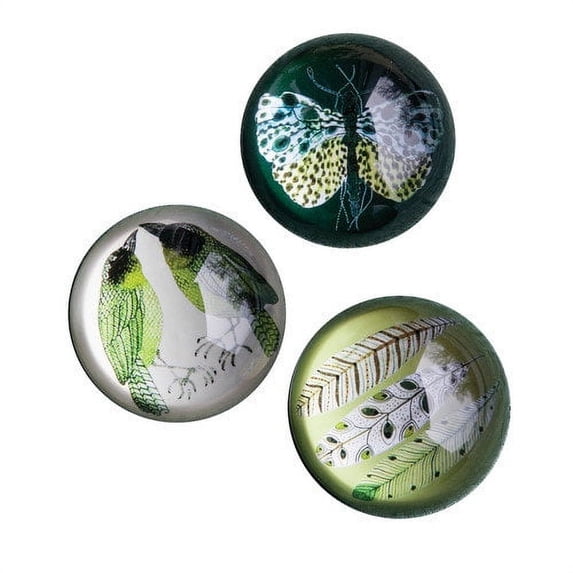 A&B Home Specimen Paper Weight - Set of Three Classic Vintage/Green