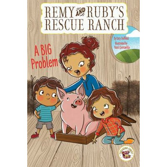 Pre-Owned A Big Problem (Paperback) 1731613032 9781731613035