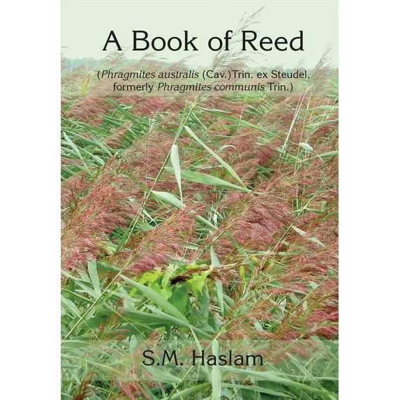 A BOOK OF REED (Phragmites australis (Cav.) Trin. ex Steudel, formerly Phragmites communis Trin.): A Book of Reed, (Paperback)