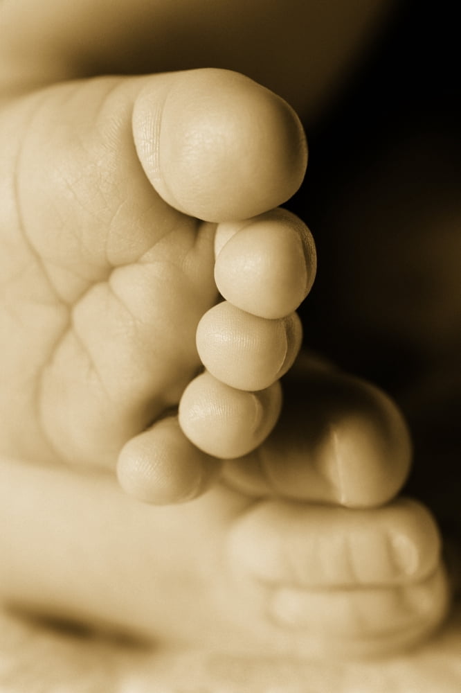 A Babys Feet Canvas Art - Don Hammond Design Pics (11 x 17)