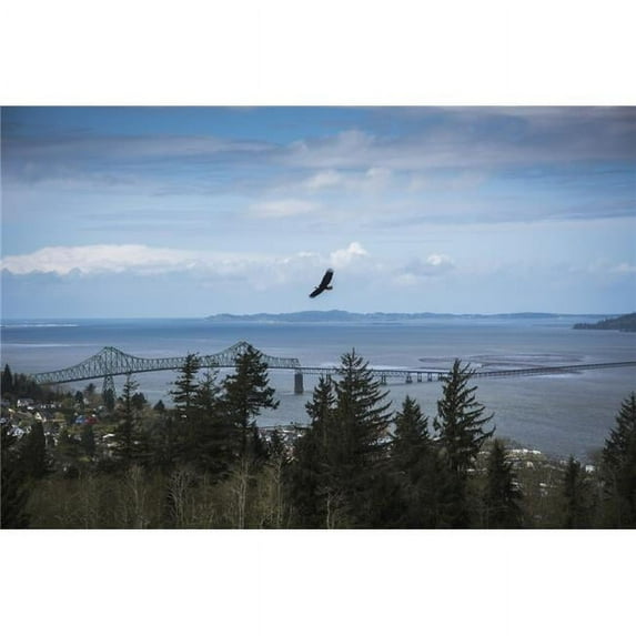 A Bald Eagle Soars Over The Trees Above The Town of Astoria - Astoria Oregon United States of America Poster Print - 19 x 12 in.