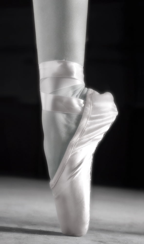 A Ballet Slipper Canvas Art - Don Hammond Design Pics (10 x 18)